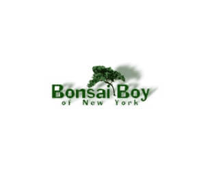 bonsai-boy-coupon